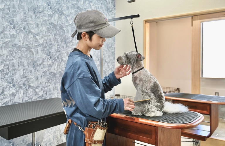 サロンで快適な施術 | 岡山市南区のトリミングならgrooming space MARU